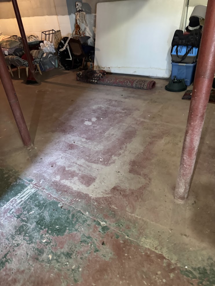 Junk Removal Project - Before and After 2